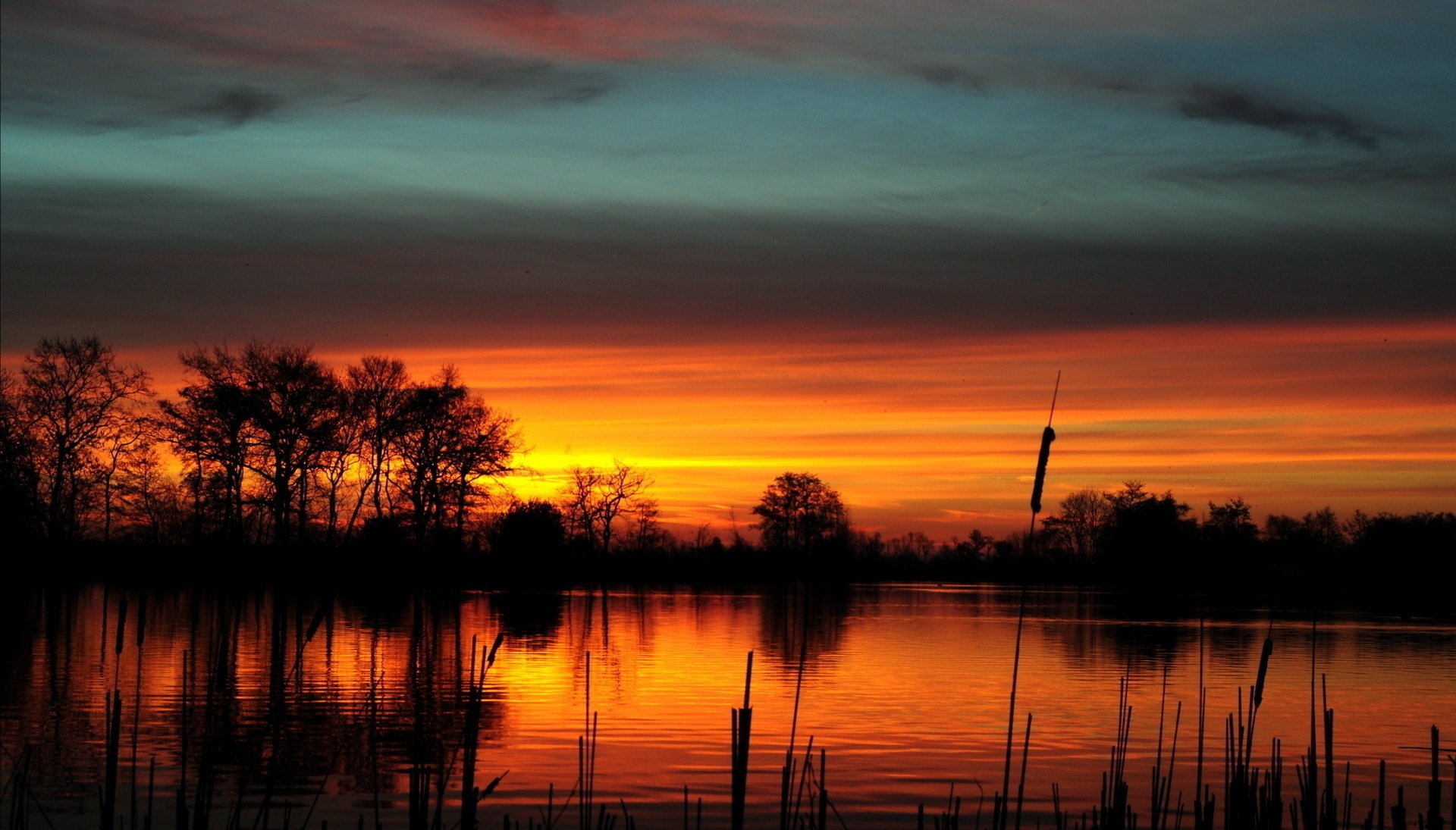 lago estanque juncos cielo árboles siluetas amanecer puesta del sol