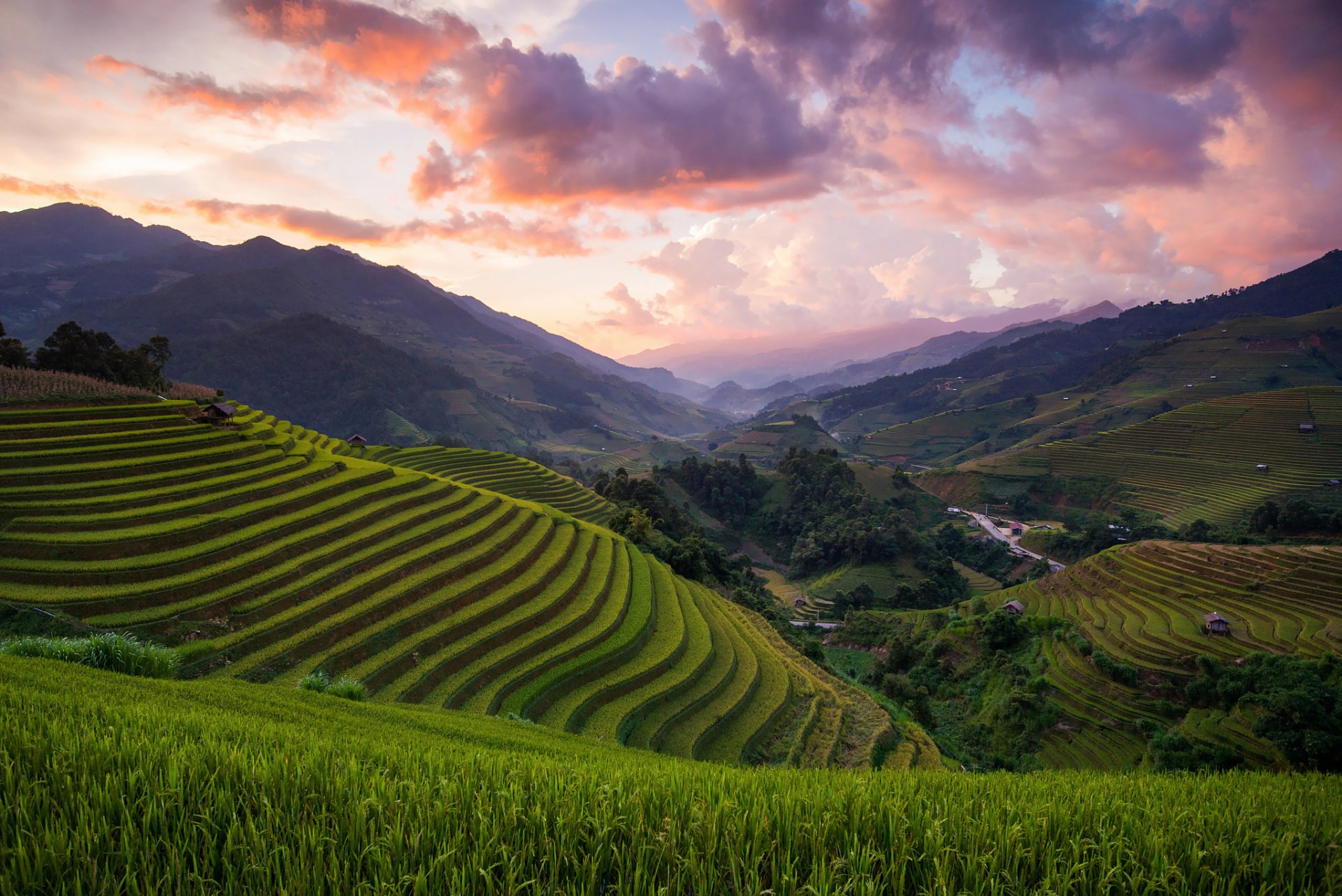 asia vietnam distretto di mù cang chii risaie campi colline