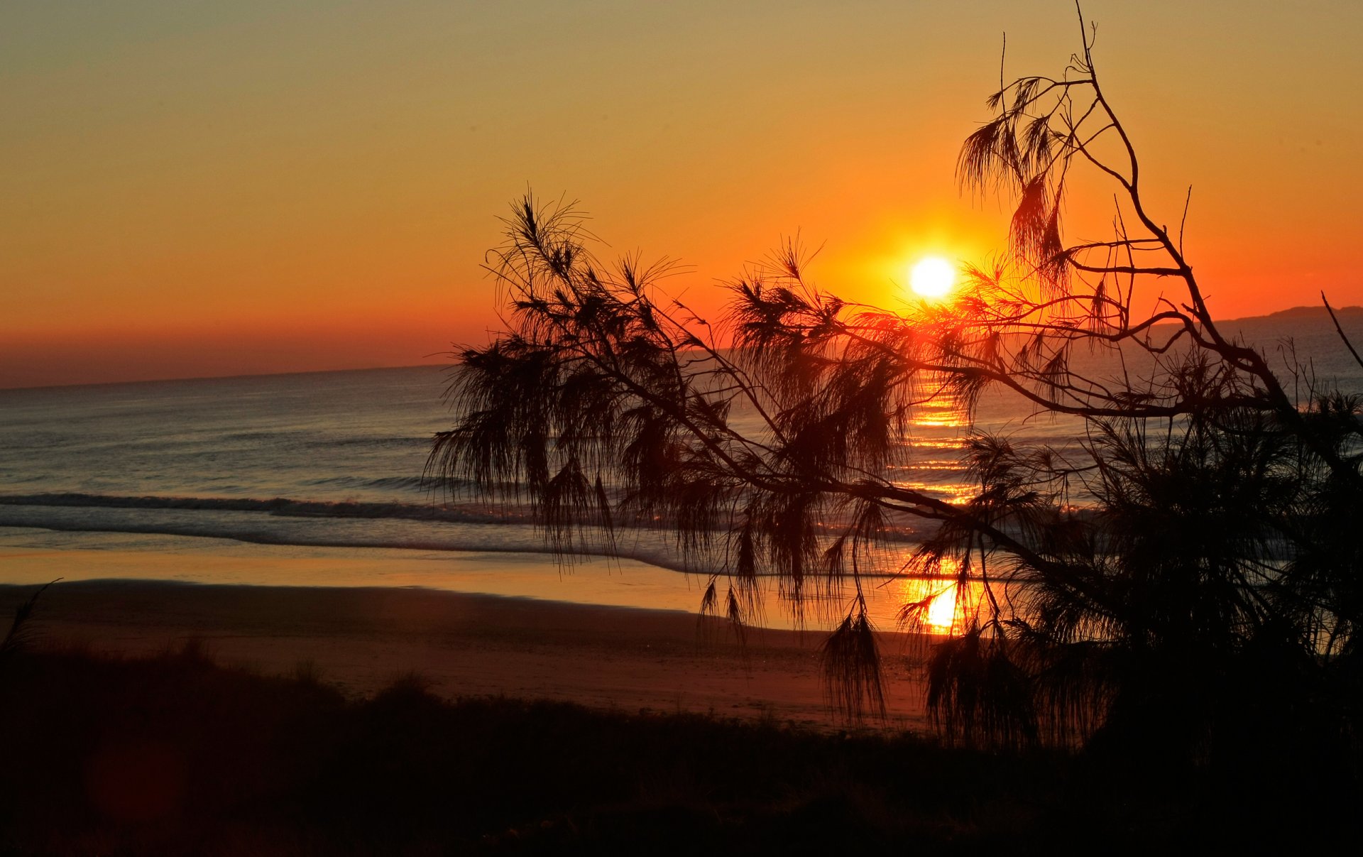 ky clouds sun sunset sea waves tree branch silhouette