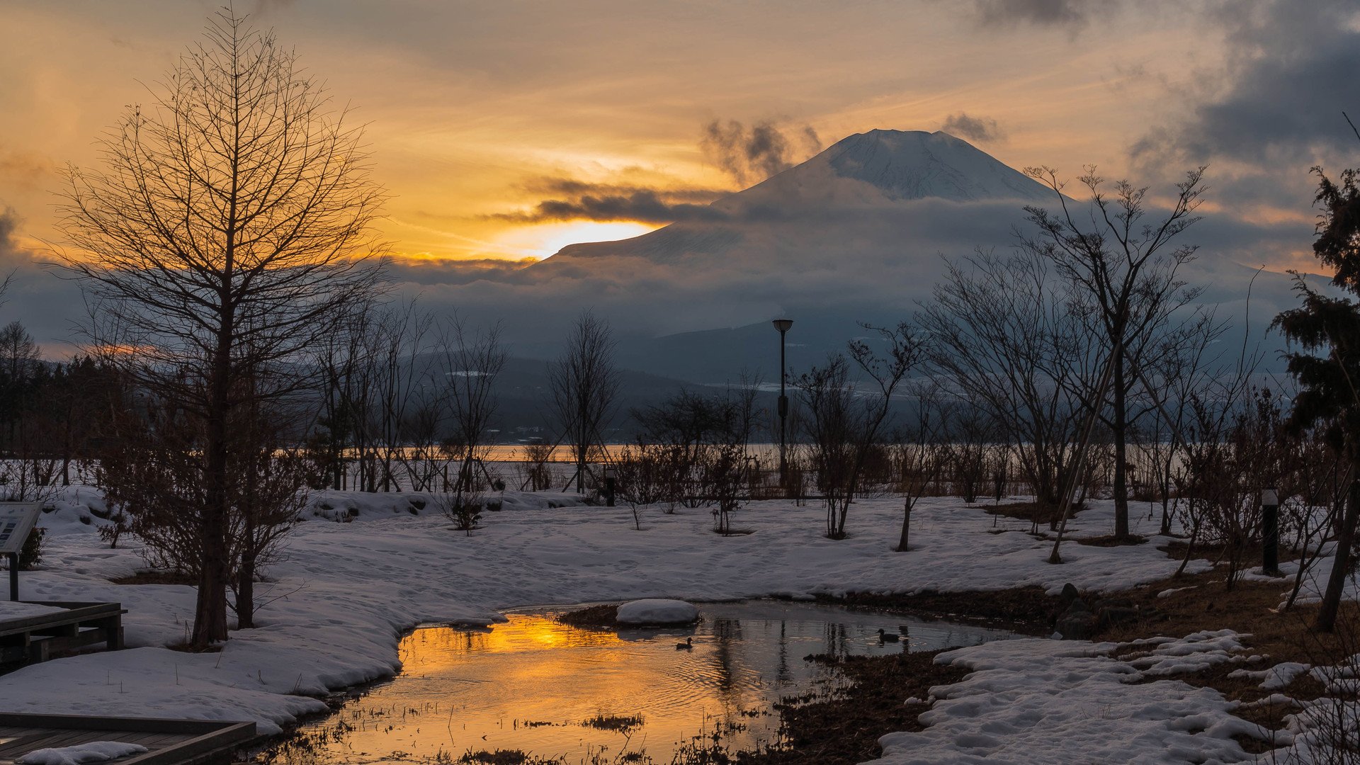 winter snow tree water mountain sky cloud