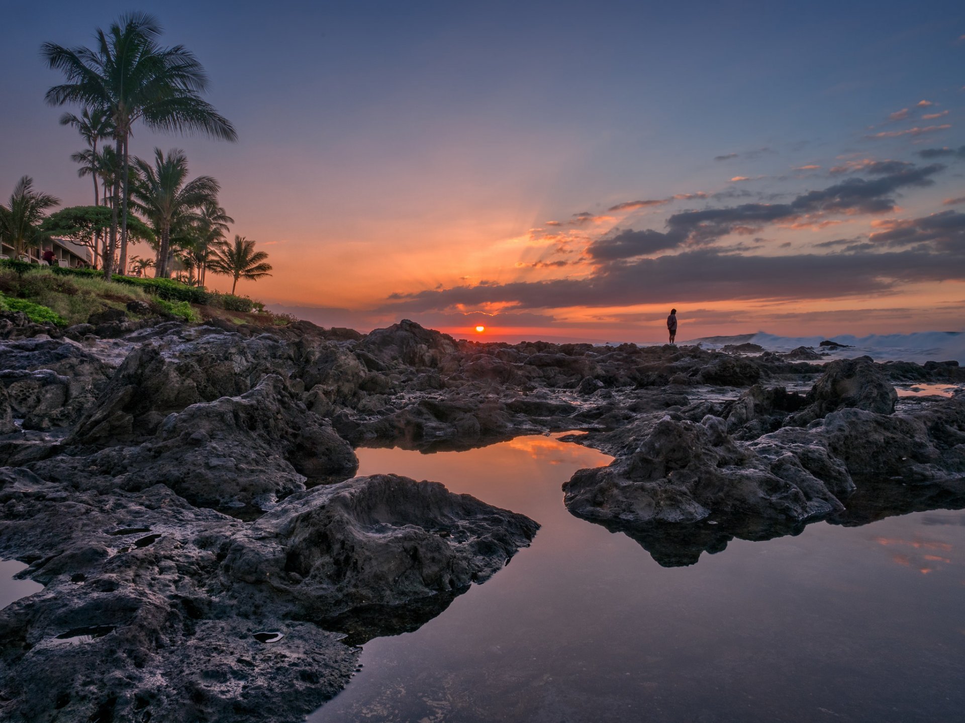 playa de napili bahía de napili maui hawaii puesta de sol océano costa palmeras