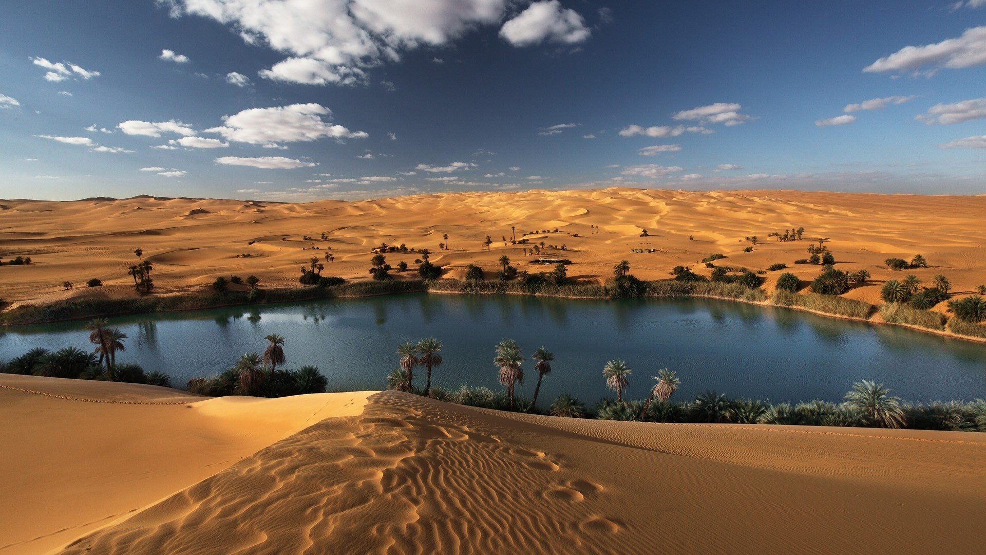 désert sables oasis libyen sahara