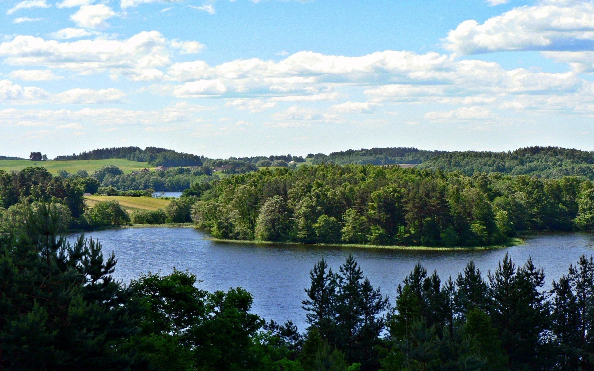 natura drzewa wzgórza las litwa jezioro niebo chmury zdjęcia