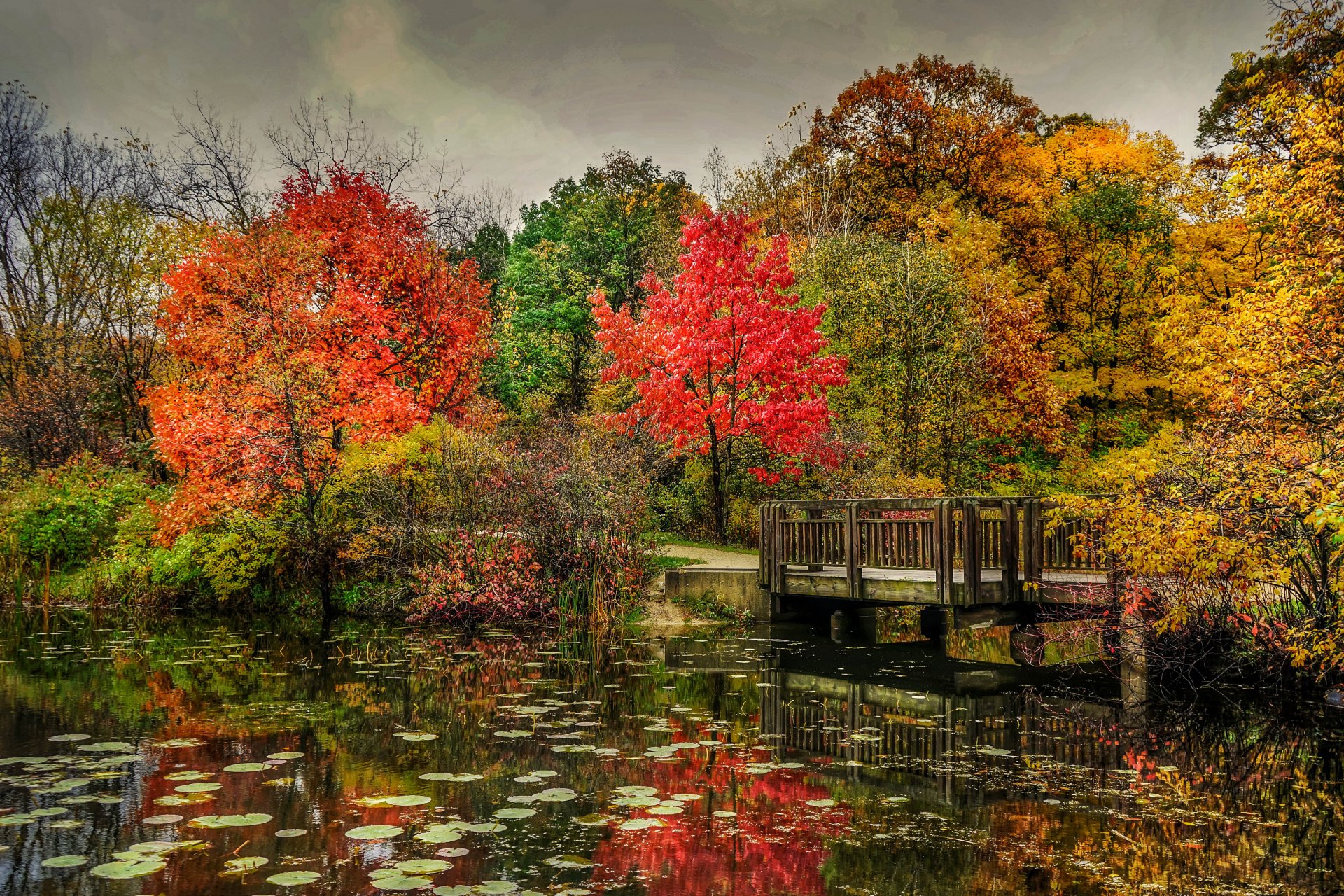 parc rivière pont automne arbres nature photo