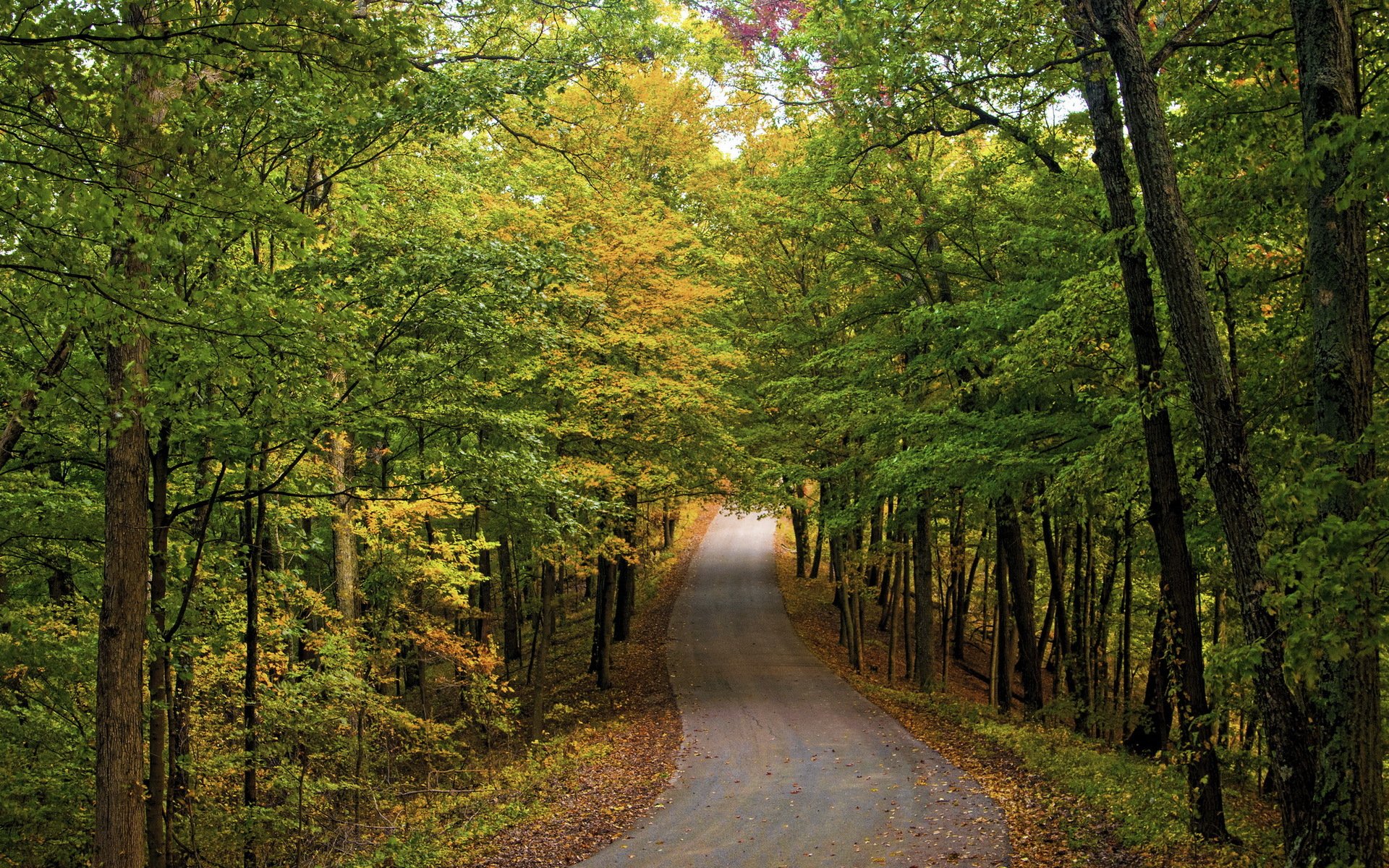 otoño carreteras naturaleza