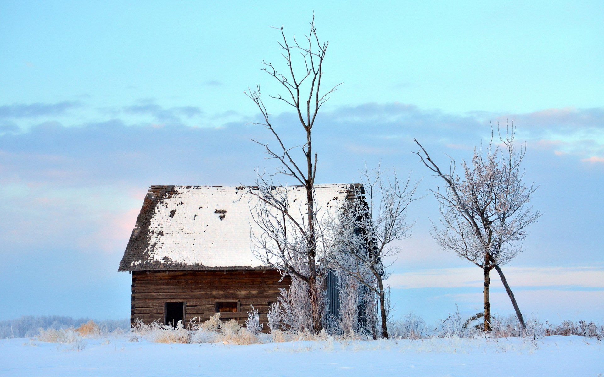 inverno casa albero paesaggio