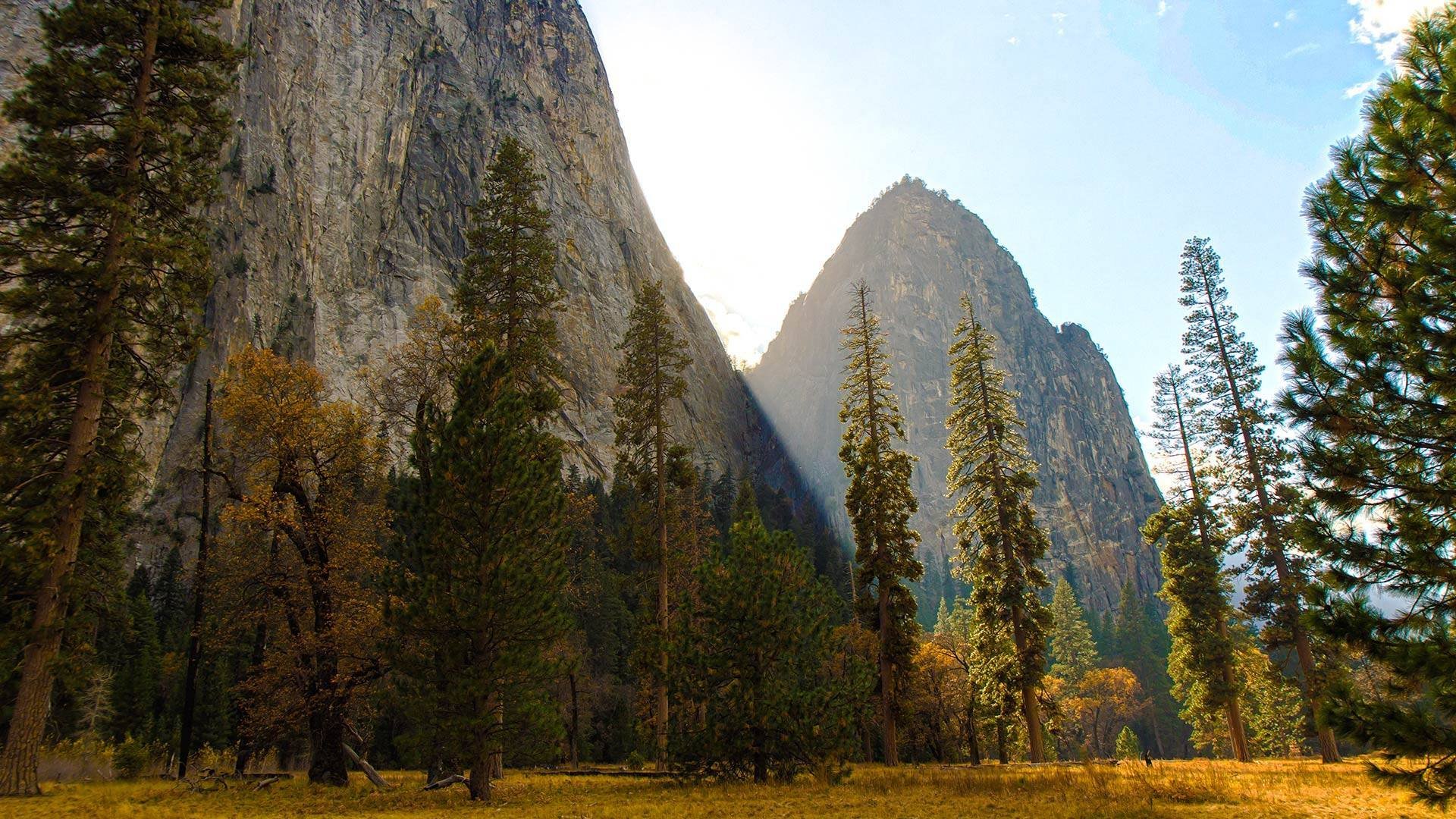 apple os os x yosemite 10.10