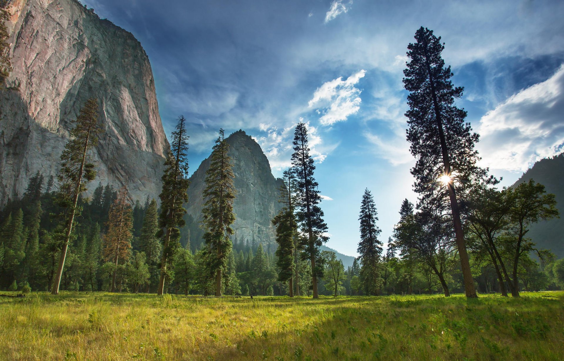 yosemite nationalpark natur berg wald pflanzen