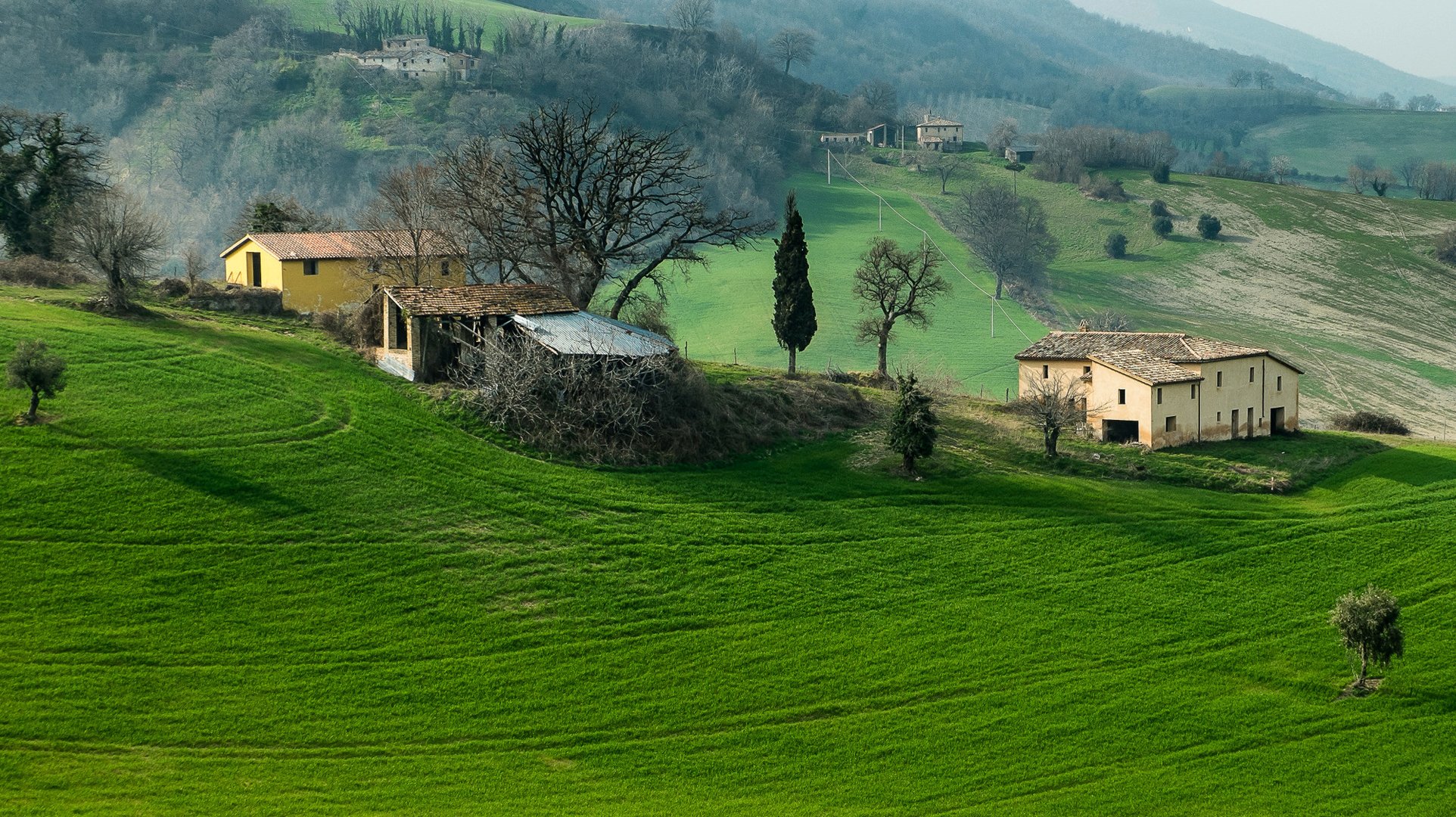 italy campaign mountain hills the field grass tree house