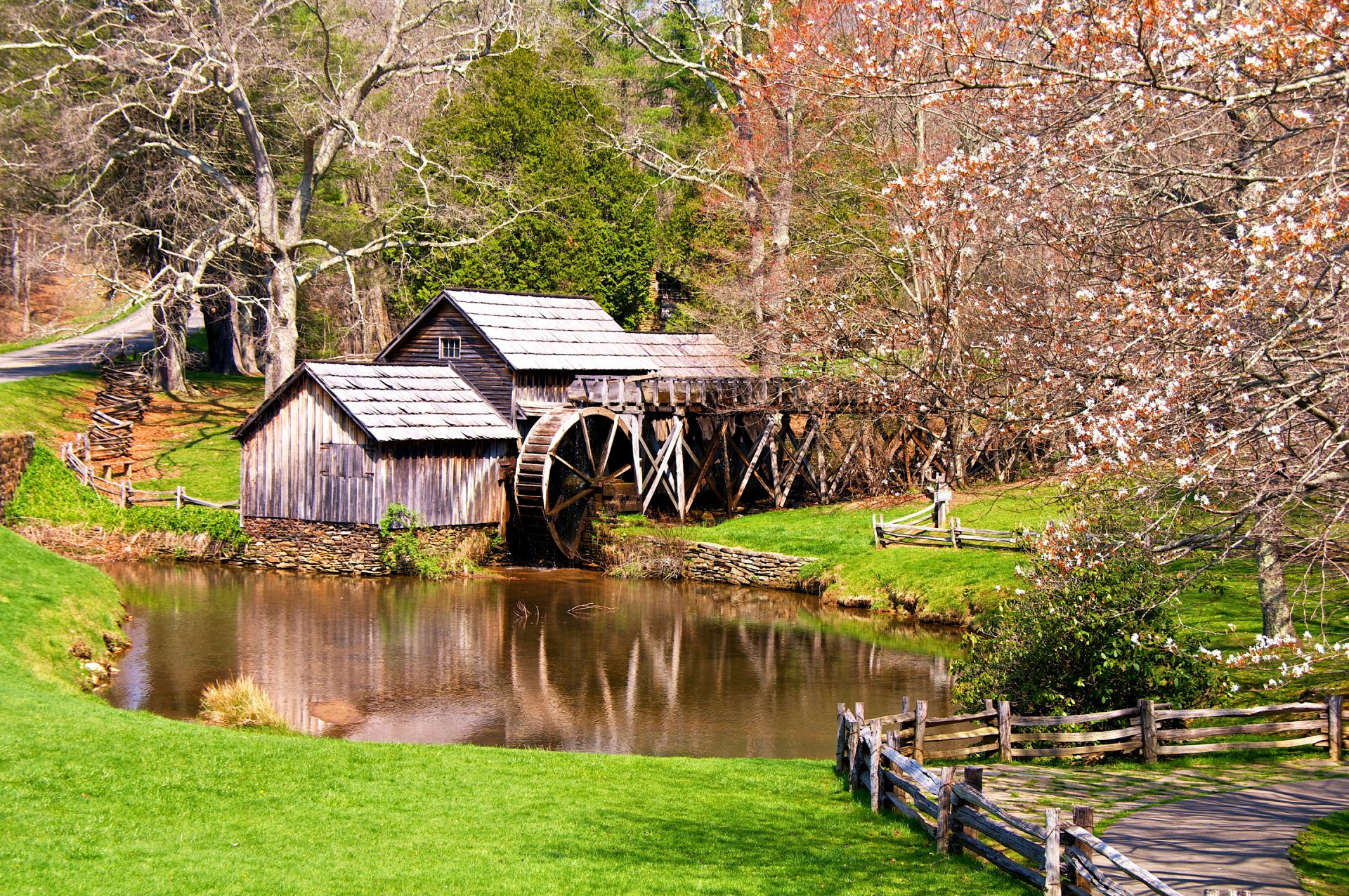 frühling mühle bäume teich