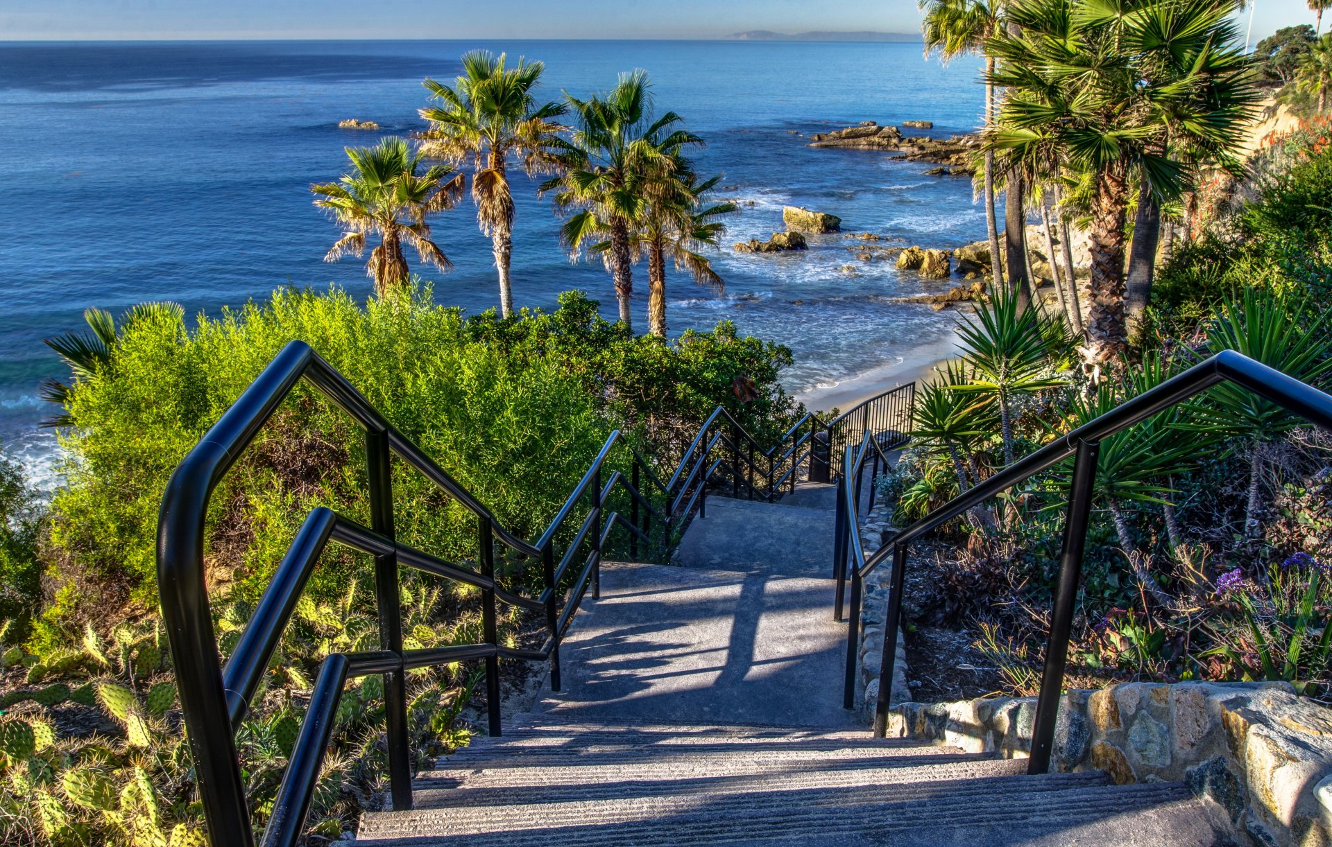 сша море побережье laguna beach калифорния пальмы камни лестница ступеньки спуск горизонт