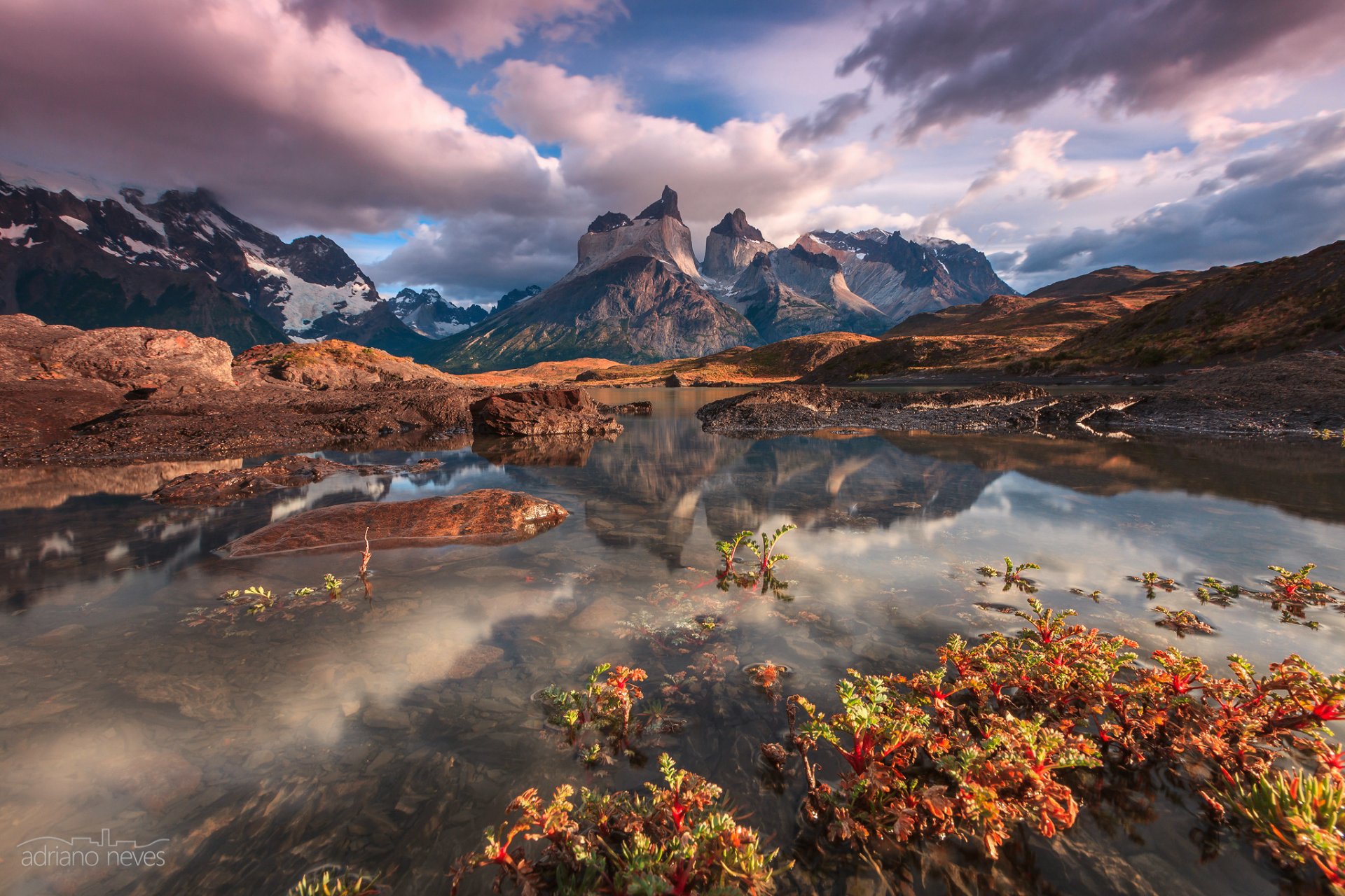 outh america chile patagonia national park torres del paine national park andes mountains nordenskjöld lake february