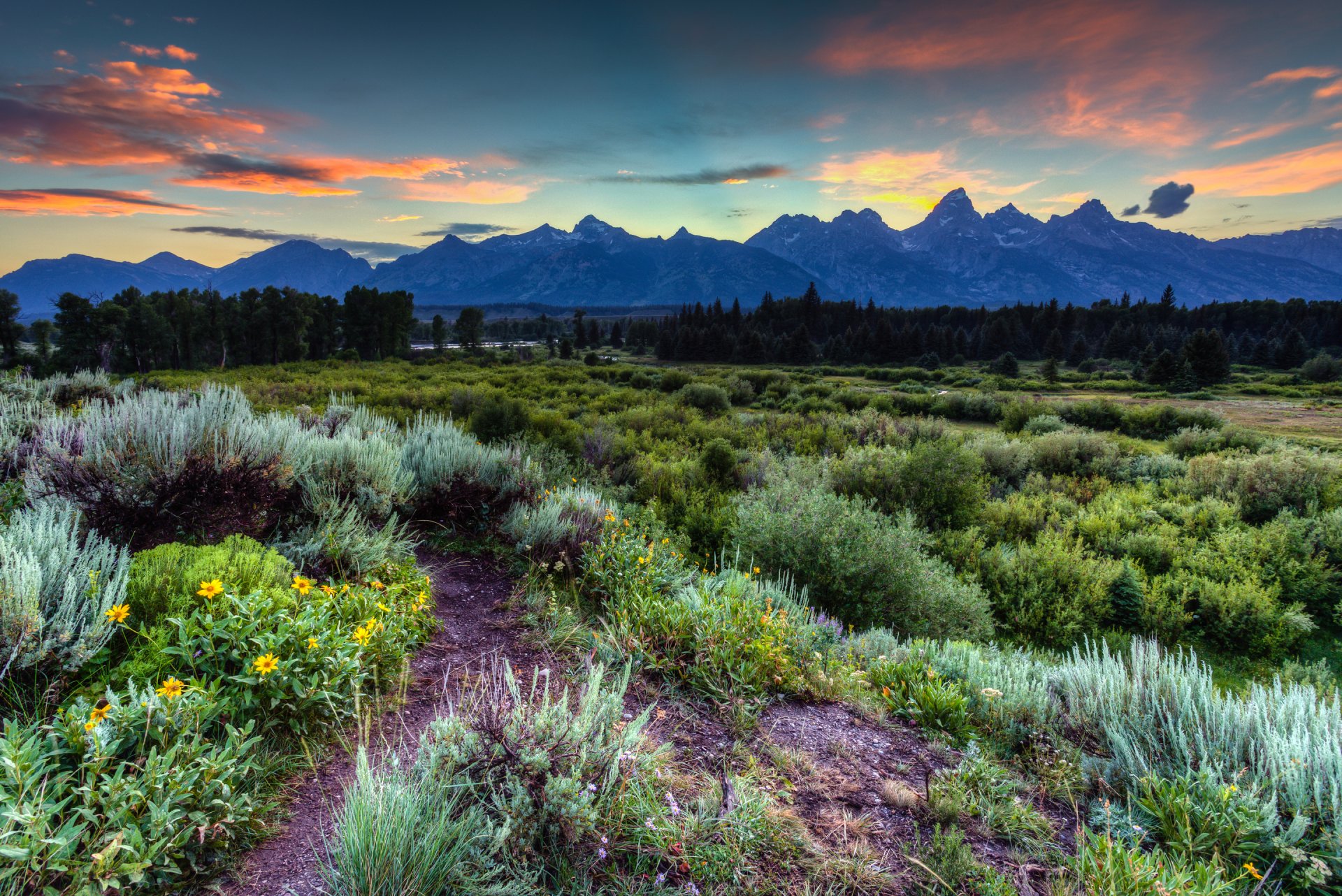 grand teton national park jackson hole wyoming united states sky mountain clouds sunset grass flower tree forest