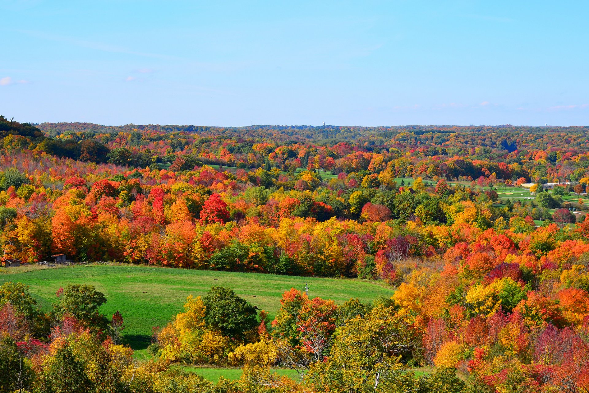 ky hills forest tree the field grass autumn