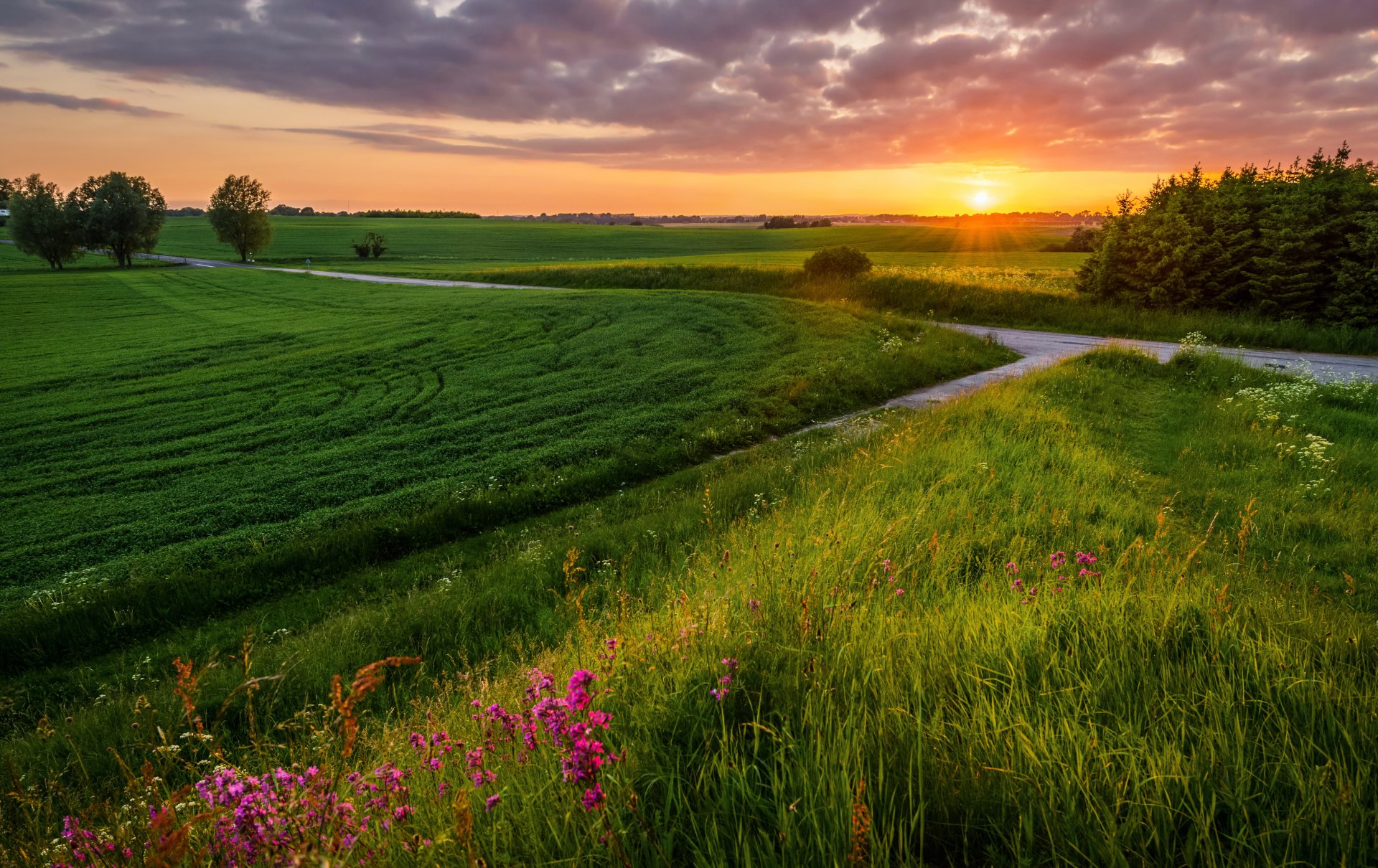 landschaft feld sommer straße sonnenuntergang