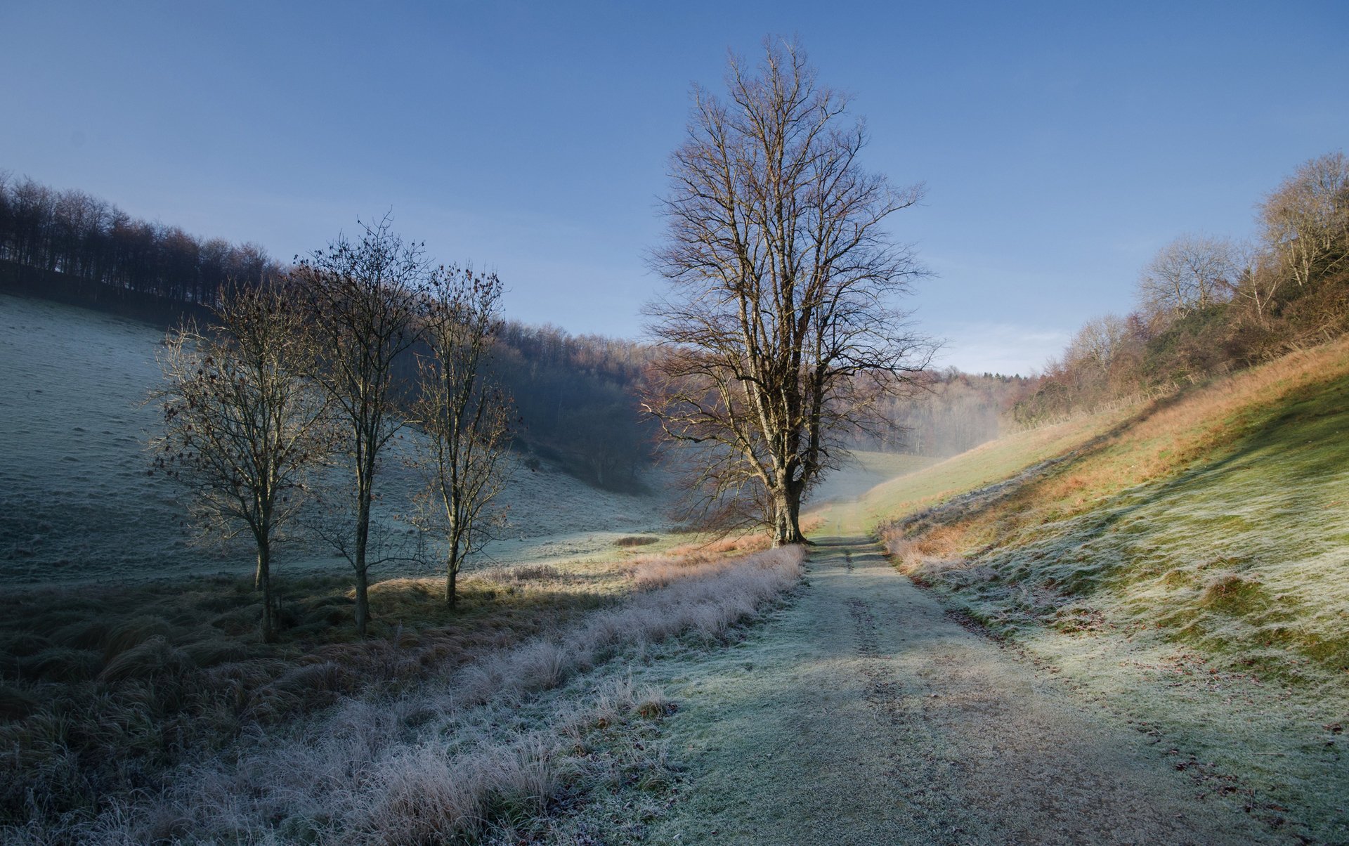 cielo colline mattina strada erba gelo autunno albero