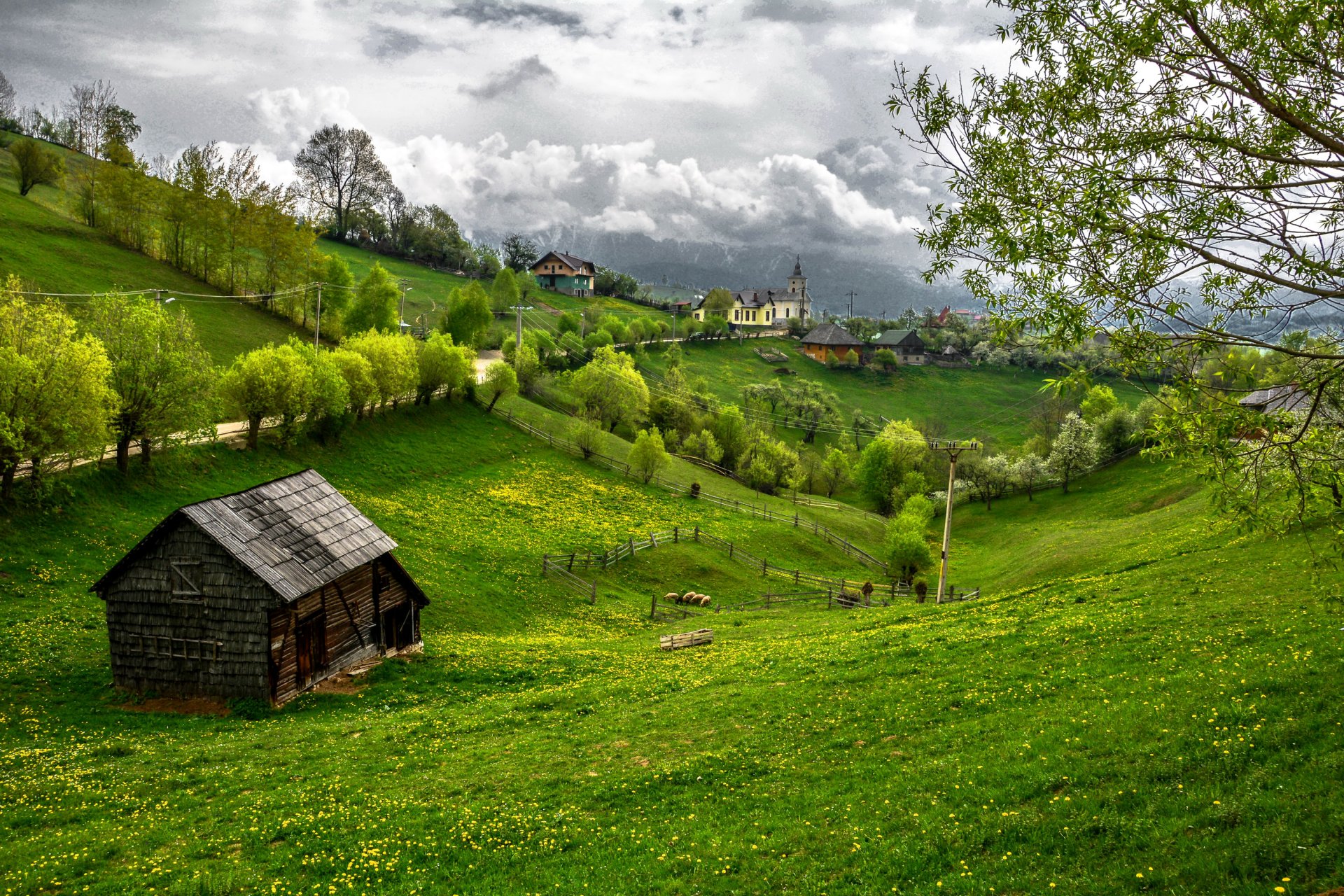 romania transilvania erba alberi verde case