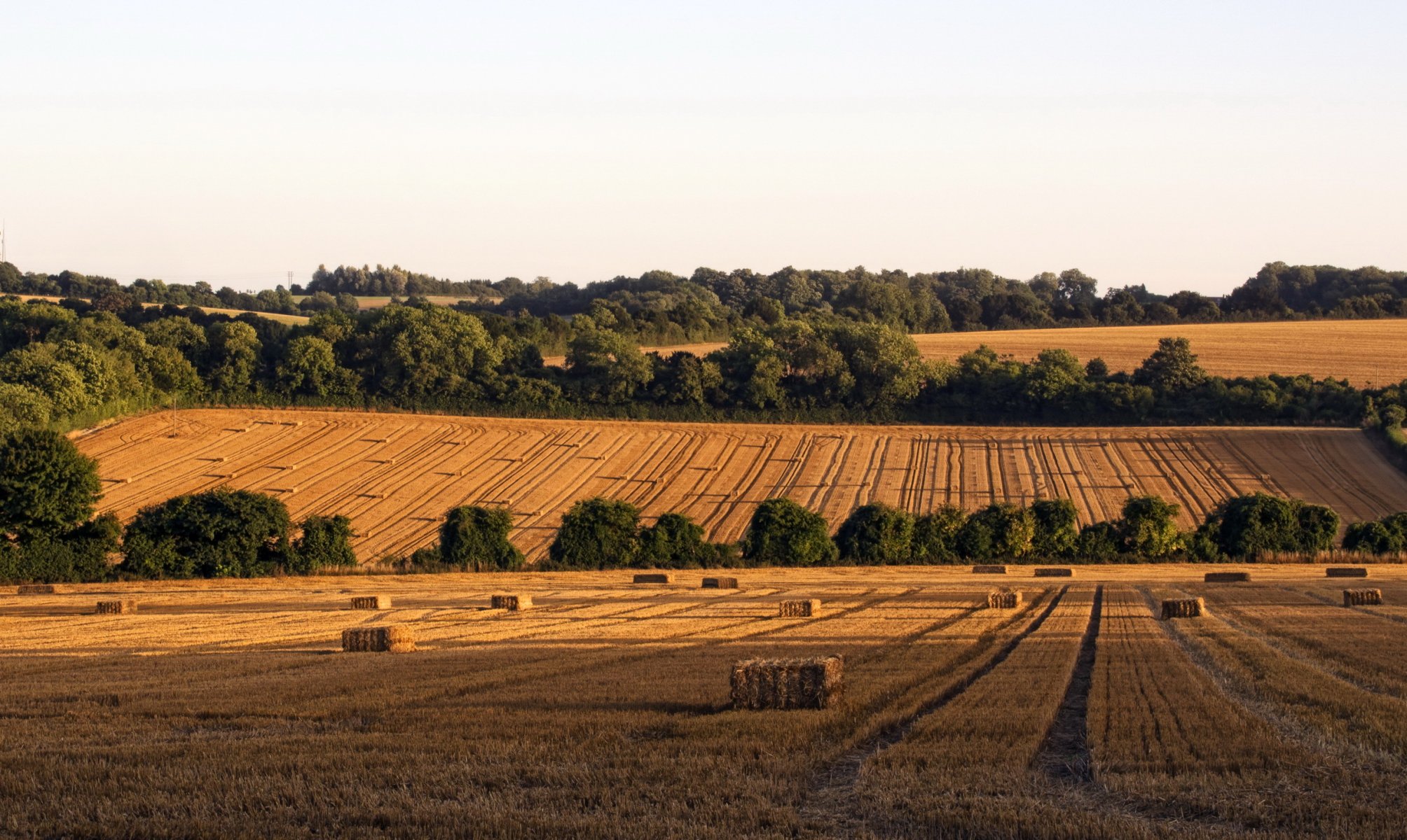 campi inghilterra hampshire fieno natura foto