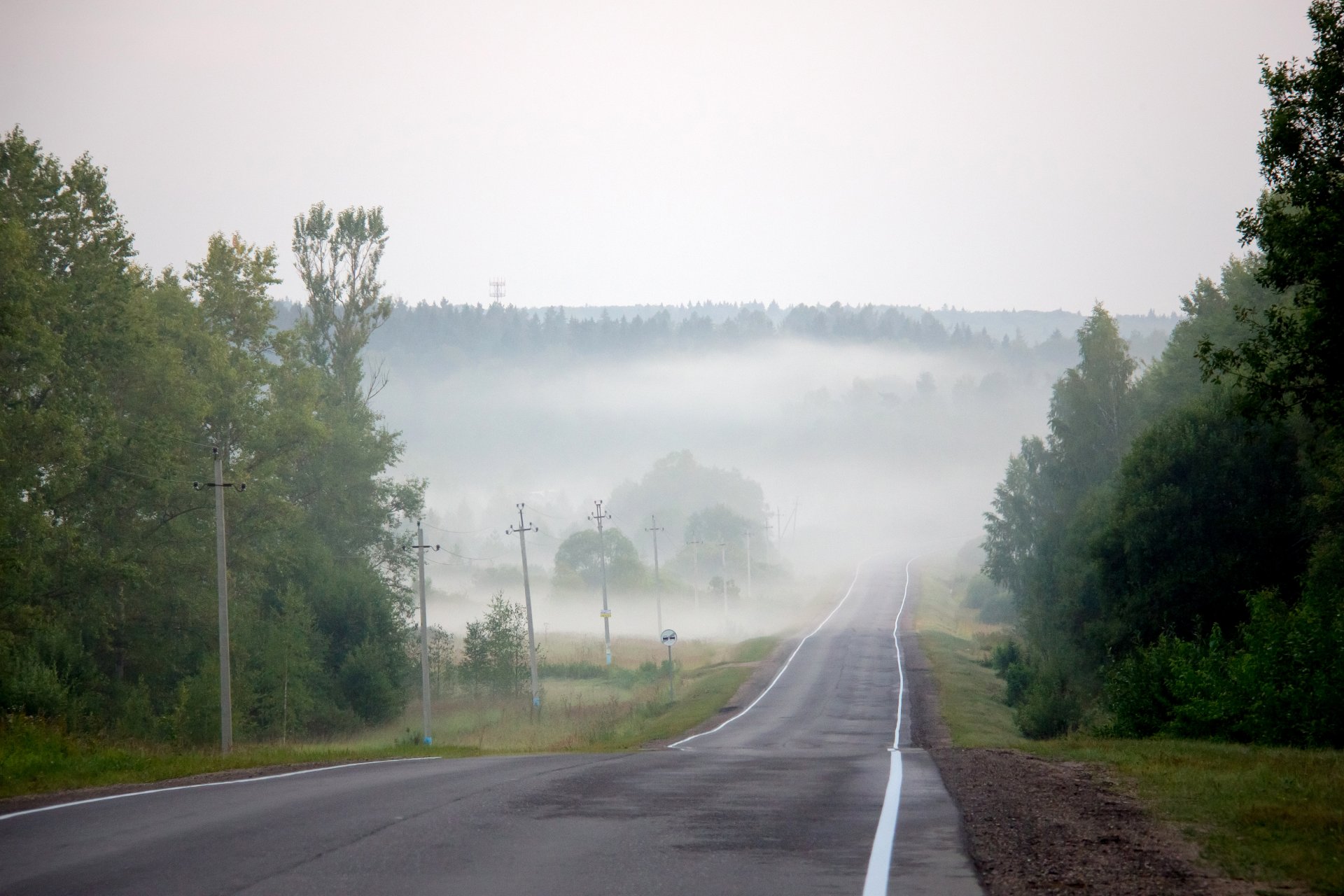 route brouillard été août brume soirée