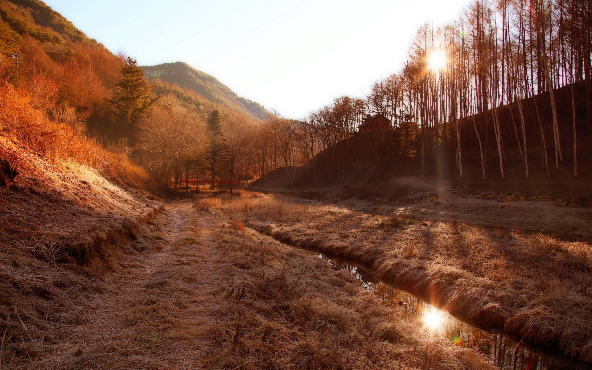 matin montagnes brouillard paysage