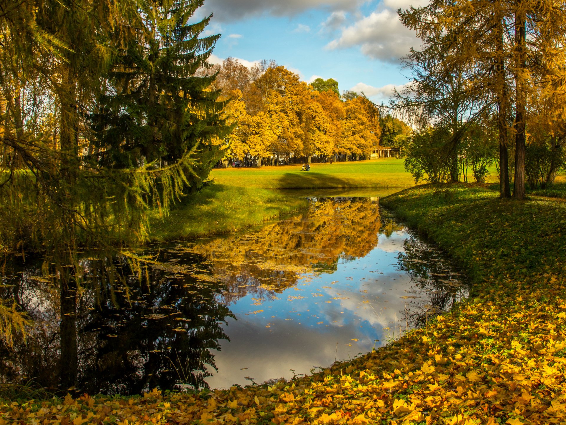 herbst fluss bäume blätter natur foto