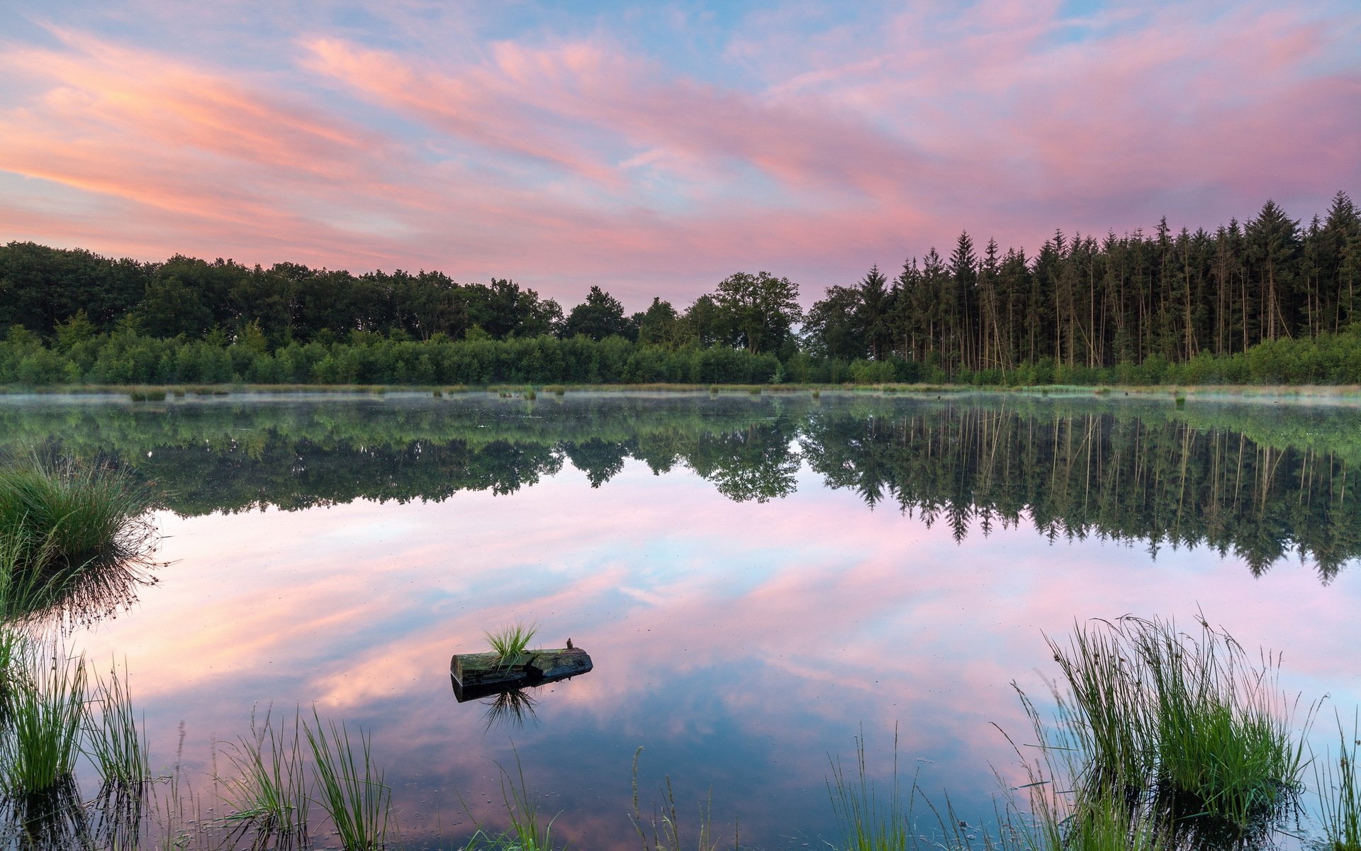 lago natura paesaggio