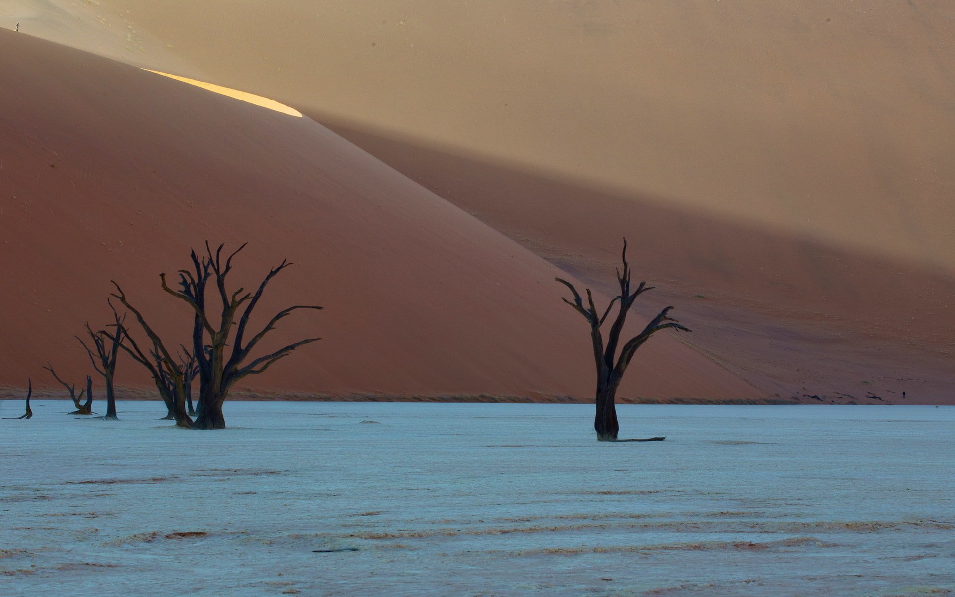 deadvlei африка пустыня дюны намибия