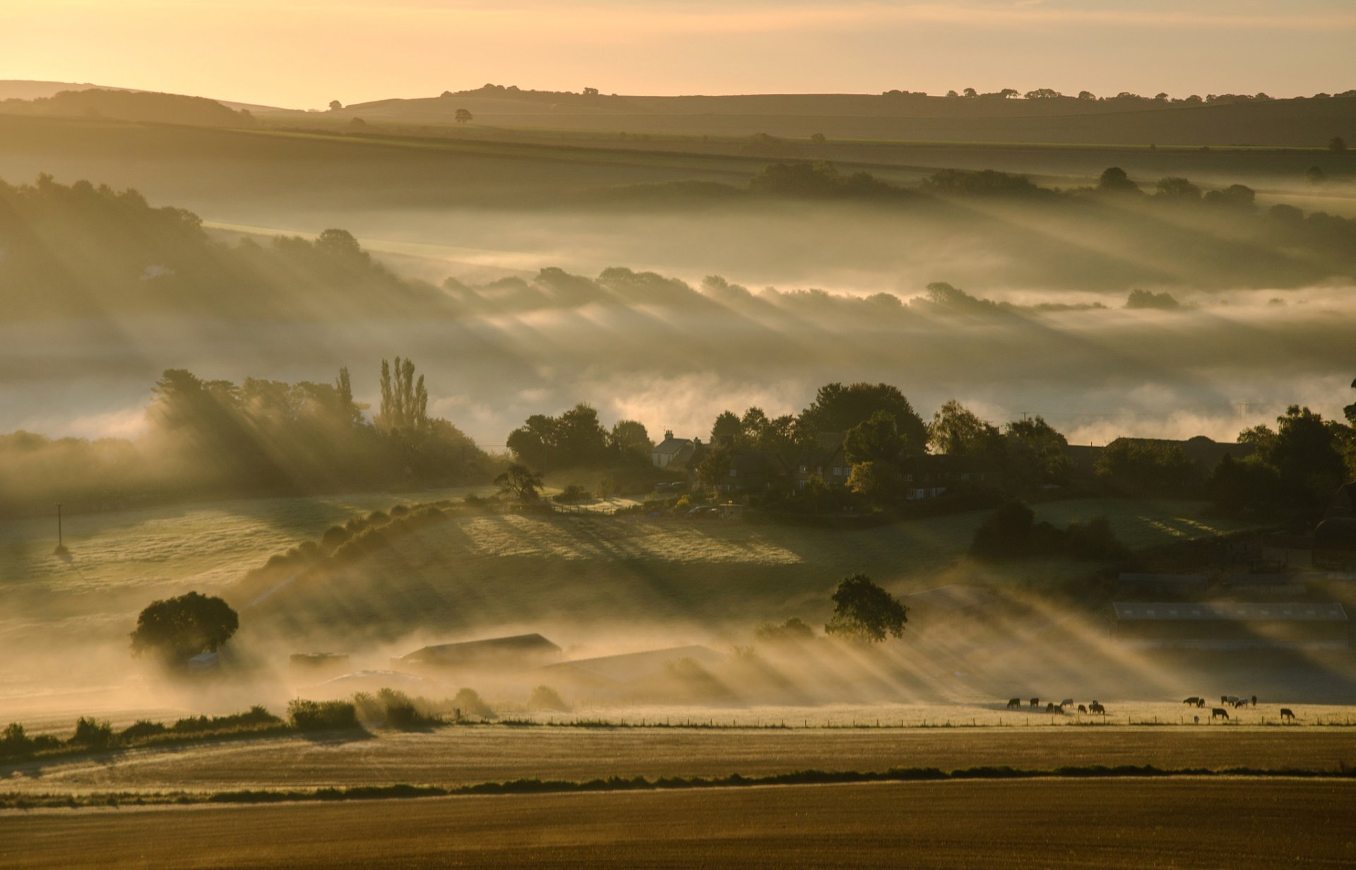 cielo mattina colline nebbia campo alberi