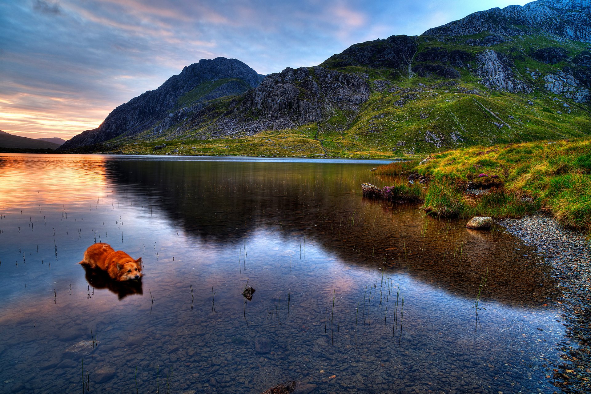 gb snowdonia cielo nuvole montagne erba lago tramonto cane