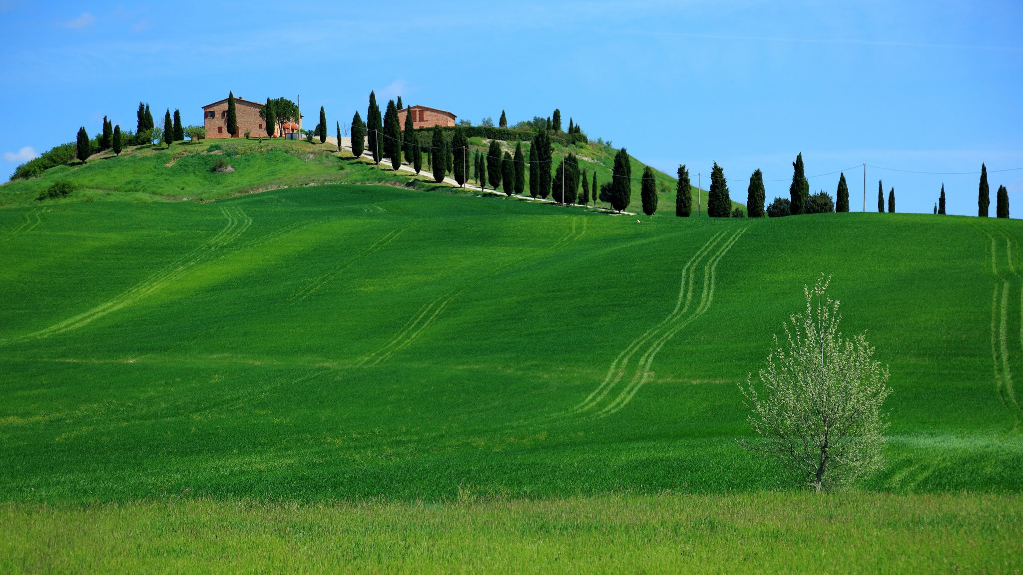 italia toscana cielo case colline erba alberi