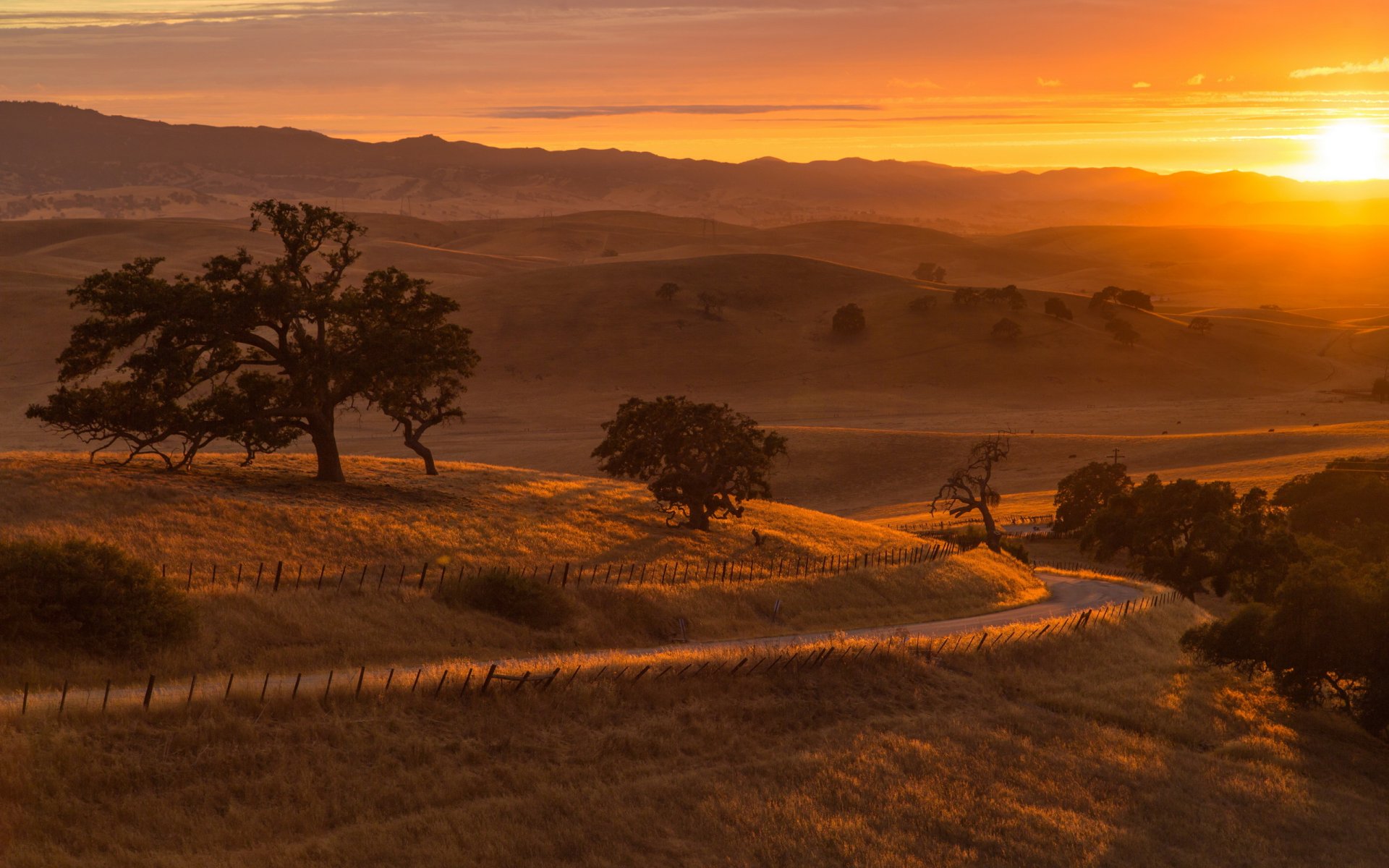 the field road sunset landscape