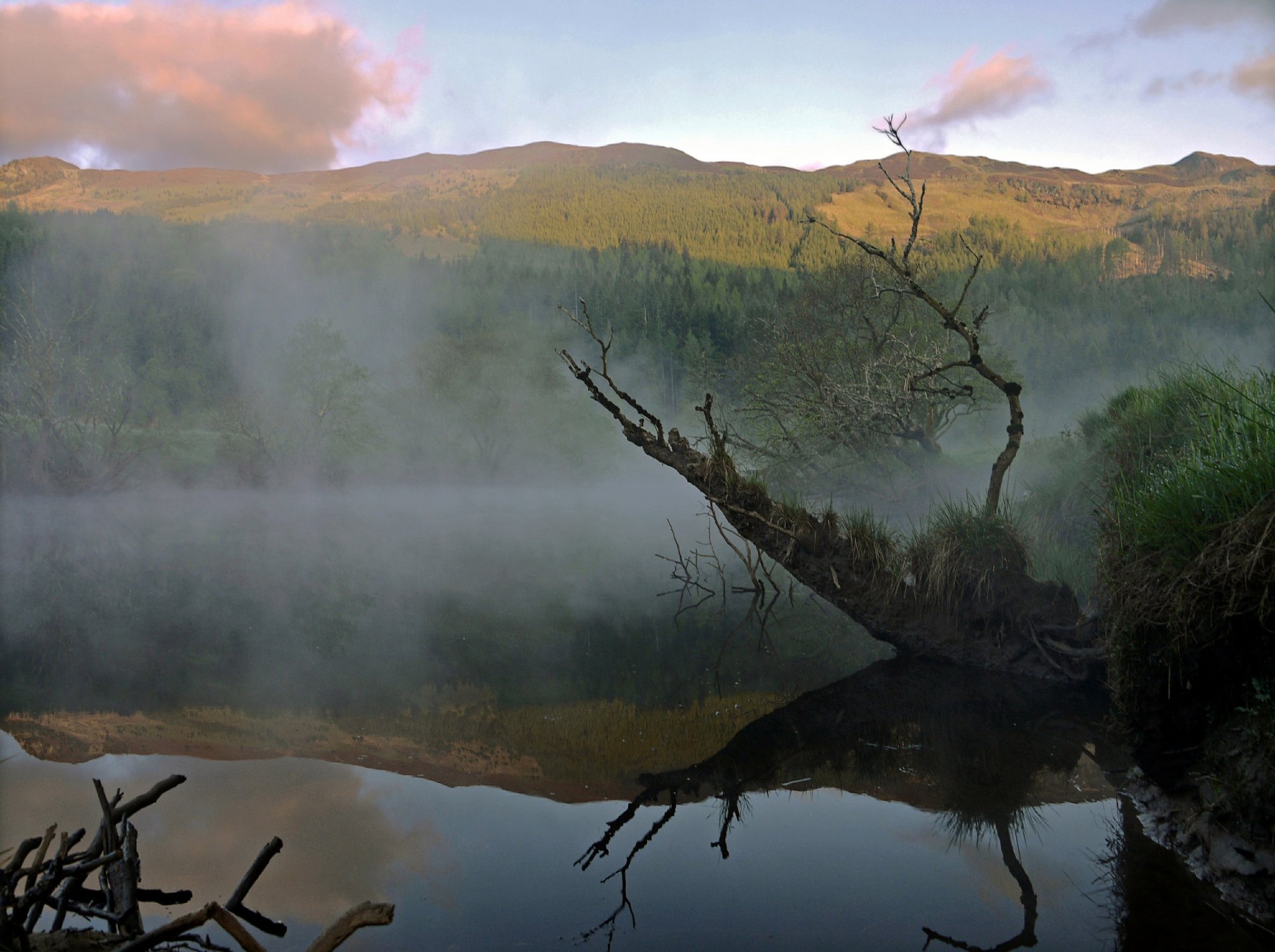 mountain forest lake fog