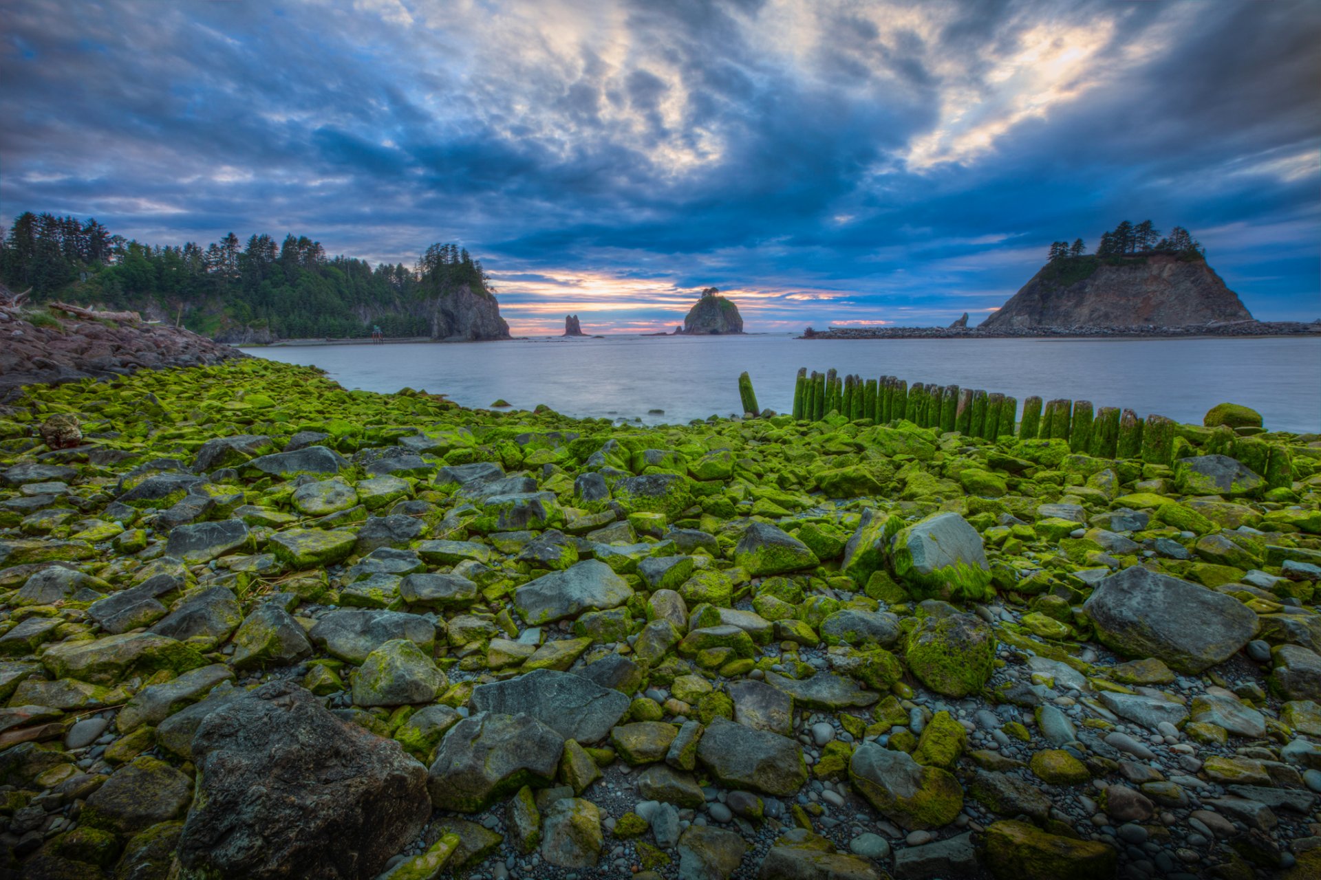 estados unidos parque nacional cielo nubes puesta de sol mar rocas musgo roca isla árboles naturaleza