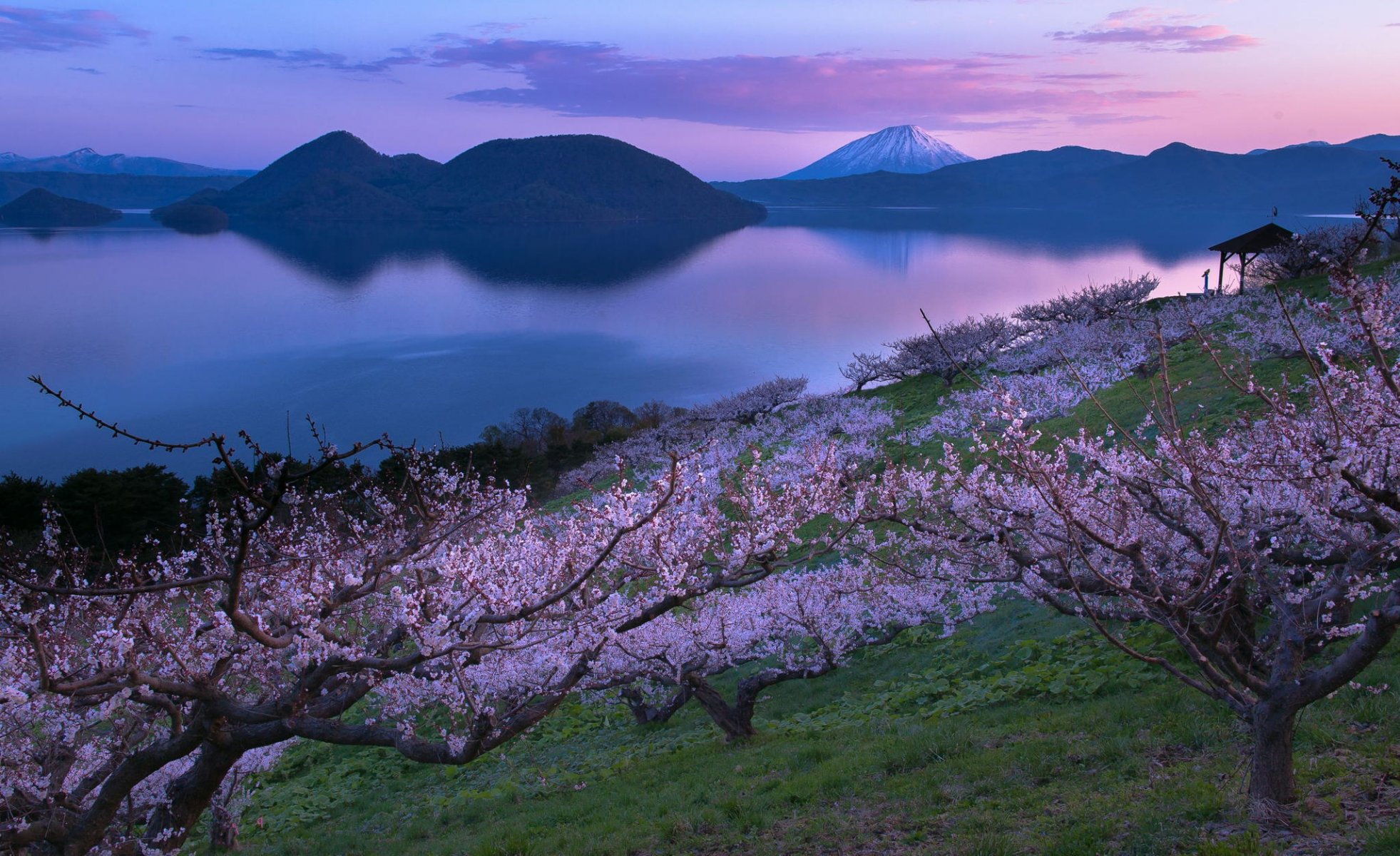 lago jardín volcán sakura japón