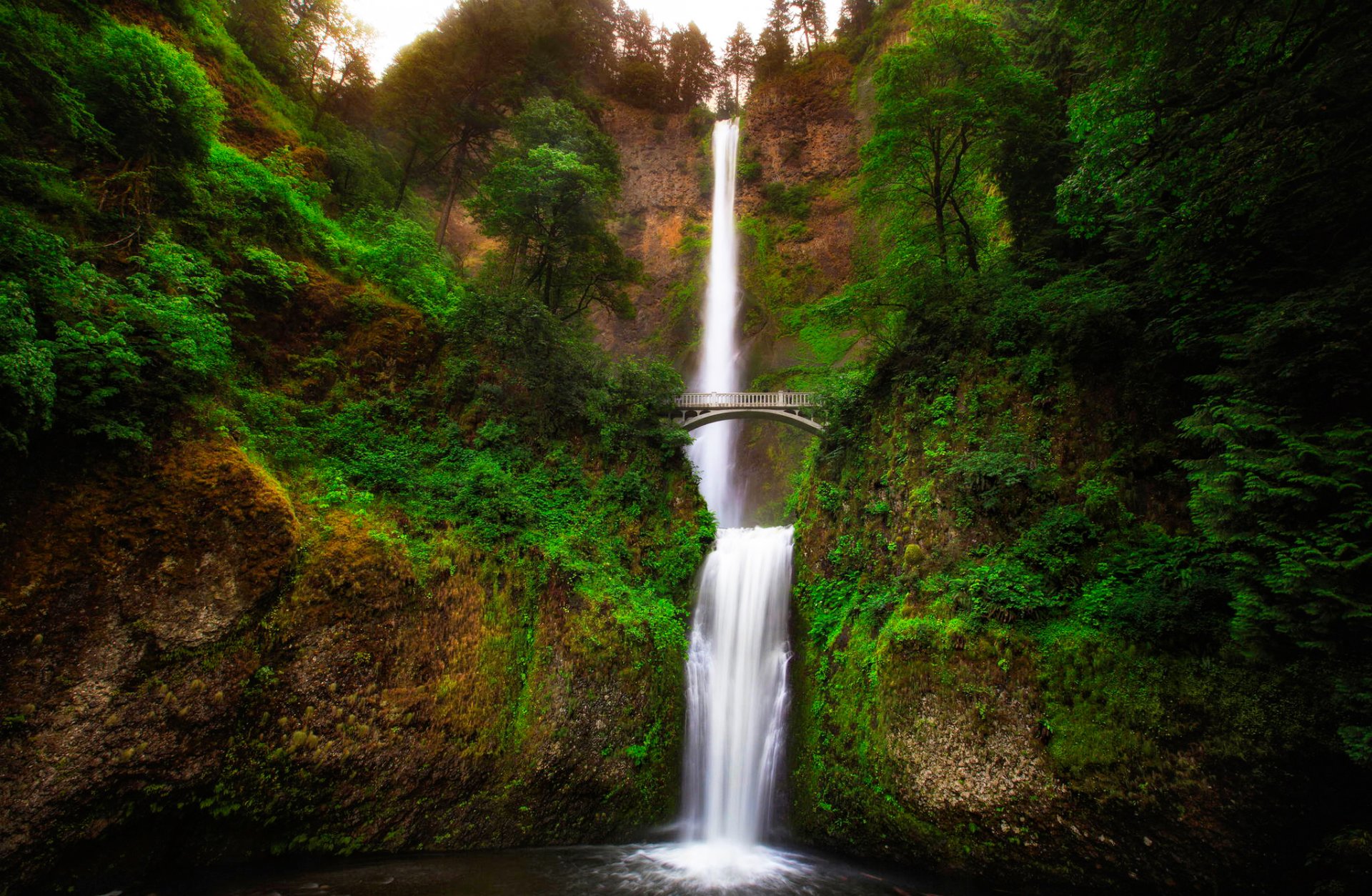 oregon usa multnomah waterfall river feed rock valley tree green bridge landscape