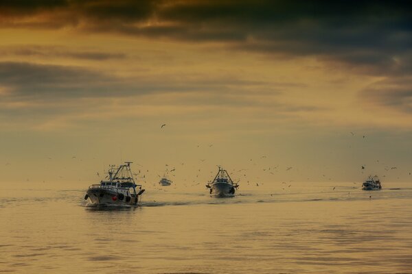 Barche rabolovets salpano al tramonto