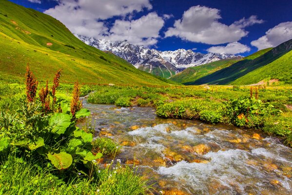 Un arroyo de montaña en un día claro