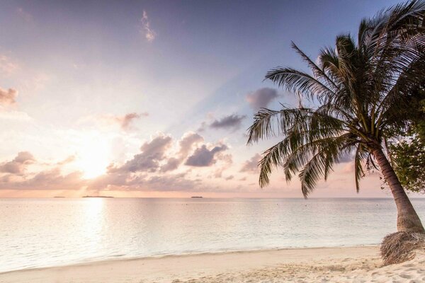 Belle aube sous les tropiques sur la mer