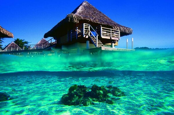 Bungalow in den ozeanischen Weiten von Französisch-Polynesien