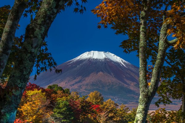 Paisaje de otoño en el fondo de la cima Nevada de Fujiyama