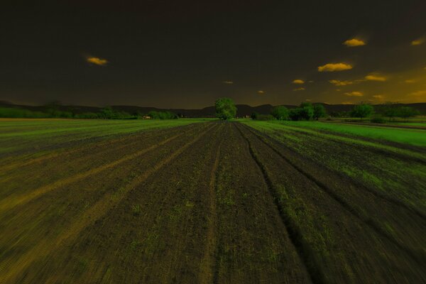 Prados verdes en la oscuridad de la noche