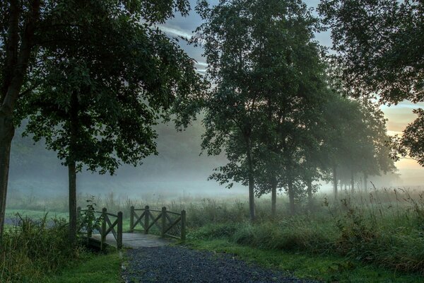 Paysage brumeux du matin avec pont