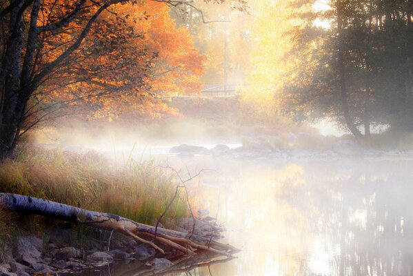 Mañana de otoño niebla sobre el aguapey