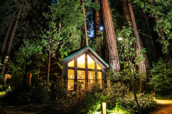 Casetta con luci nella foresta di notte