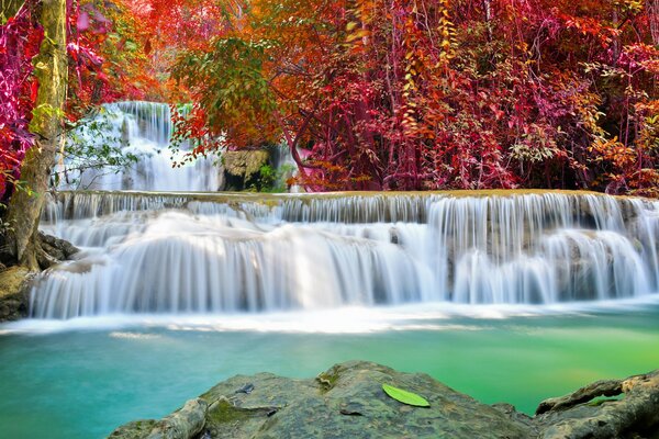 Schöner Waldfall im Herbst