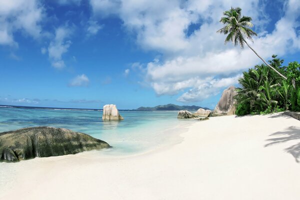Необитаемый остров с камнями на берегу и пальмами