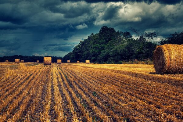 Nuages d orage sur les meules de foin