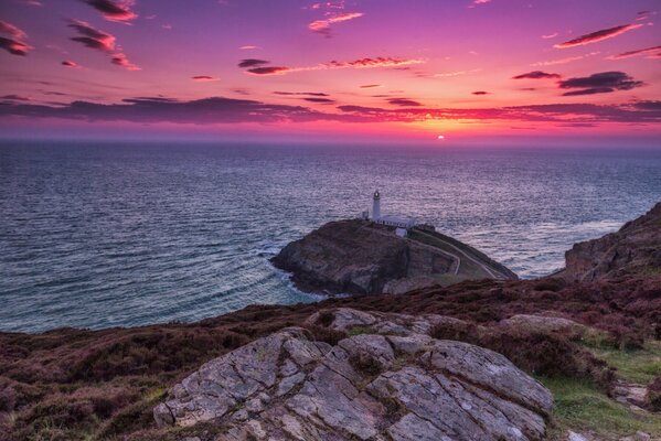 Pink - lilac sunset on the sea