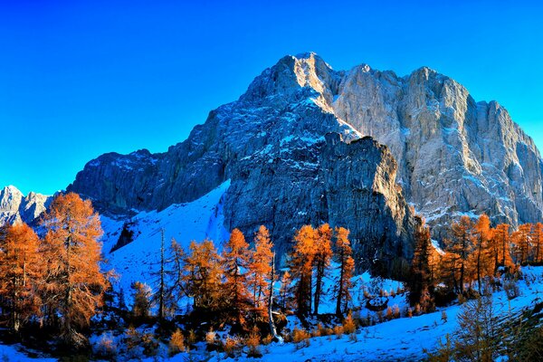 Montañas en otoño árboles de Dios en la nieve