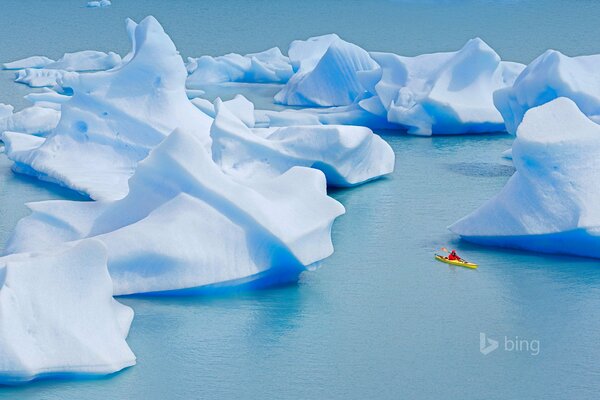 Nature. Clear lake. Icebergs